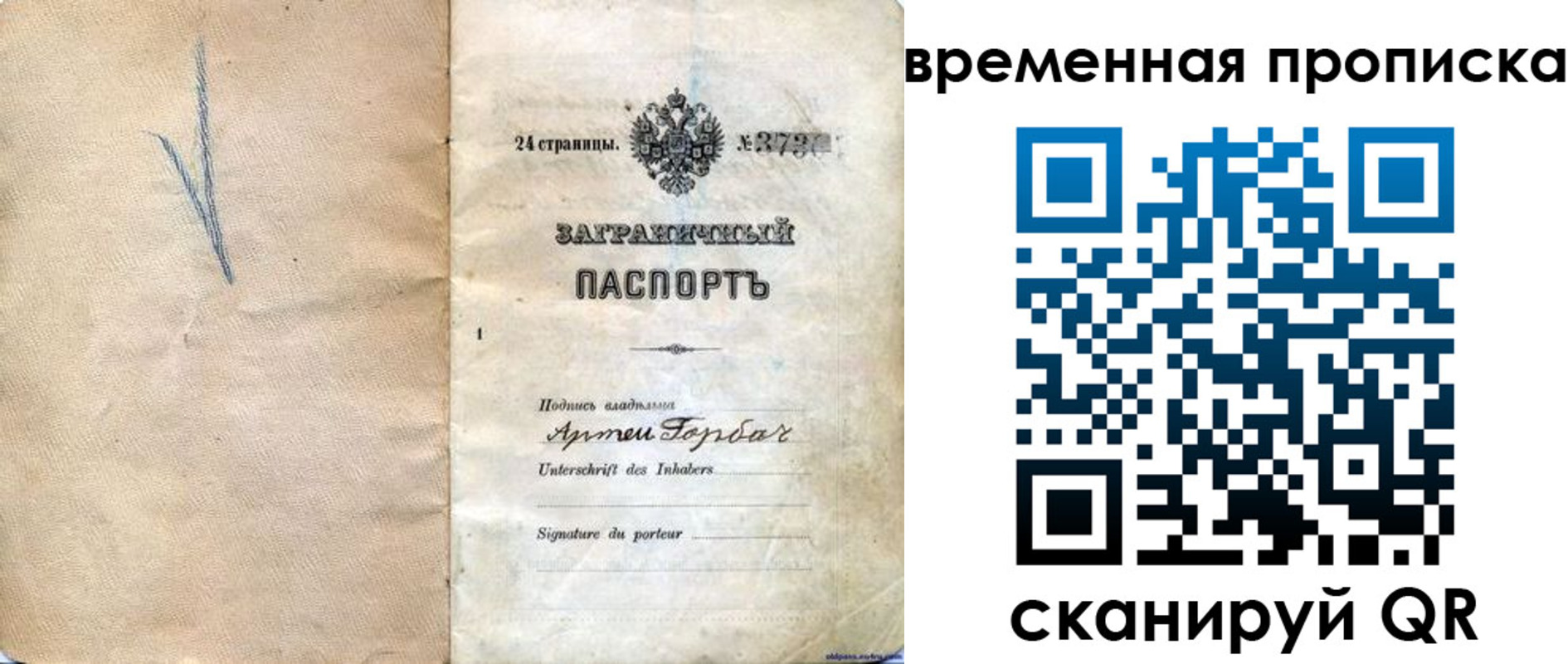 прописка поиск в Тынде
